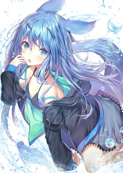 Anime picture 1064x1492 with original topia single long hair tall image looking at viewer blush fringe blue eyes simple background hair between eyes standing white background bare shoulders animal ears blue hair tail long sleeves animal tail open jacket