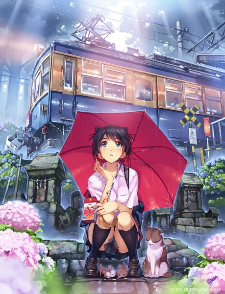 Anime picture 759x992 with original vania600 tall image blush short hair blue eyes black hair sitting girl skirt uniform flower (flowers) school uniform animal shirt socks black socks umbrella cat train