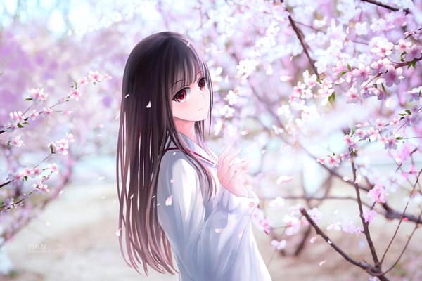 Anime picture 4032x2688 with original liht single long hair looking at viewer fringe highres black hair red eyes payot absurdres upper body outdoors blunt bangs arm up light smile depth of field cherry blossoms spring girl
