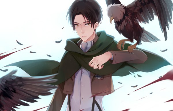 Anime picture 1500x969 with shingeki no kyojin production i.g levi (rivaille) 673rokunami single short hair black hair white background yellow eyes looking away open clothes open jacket boy animal shirt wings bird (birds) blood cape feather (feathers)