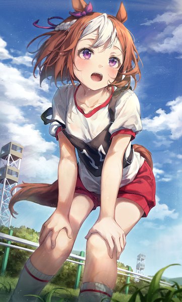 Anime picture 1000x1659 with umamusume special week (umamusume) r o ha single tall image blush fringe short hair open mouth smile brown hair standing purple eyes animal ears looking away sky cloud (clouds) outdoors white hair tail
