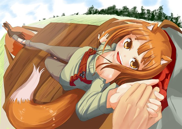 Anime picture 1052x744 with spice and wolf horo orange (pixiv) long hair open mouth orange hair orange eyes holding hands wolf ears wolf tail wolf girl girl pendant horse