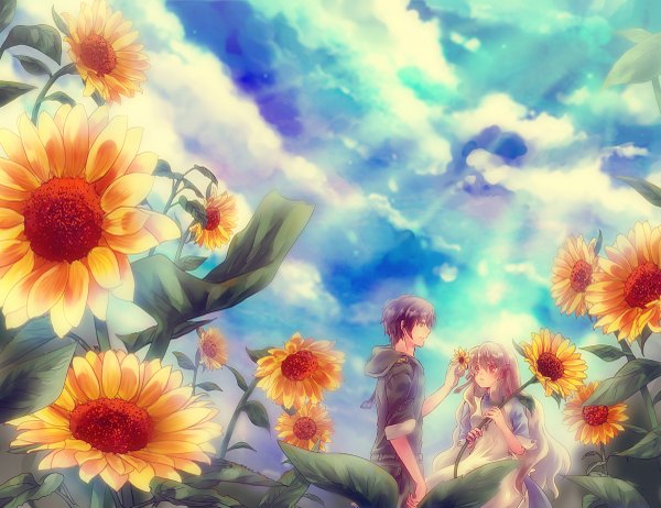 Anime picture 1200x925 with kagerou project shaft (studio) mary (kagerou project) seto kousuke long hair short hair black hair smile standing looking away sky cloud (clouds) pink eyes grey hair sunlight wavy hair sunbeam summer field girl