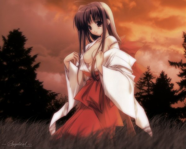 Anime picture 1280x1024 with suzuhira hiro long hair light erotic brown hair brown eyes ahoge traditional clothes japanese clothes inscription miko girl plant (plants) tree (trees) grass