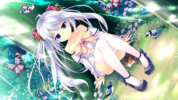 Anime picture 2048x1152 with shin shirogane no soleil skyfish (studio) single long hair highres blue eyes wide image sitting twintails game cg white hair hair flower girl thighhighs dress hair ornament flower (flowers) bow plant (plants) animal