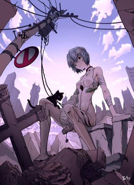 Anime picture 1053x1453 with neon genesis evangelion gainax ayanami rei as109 single tall image red eyes sitting bare shoulders blue hair sky cloud (clouds) city cityscape ruins bandage over one eye girl animal cat bandage (bandages)