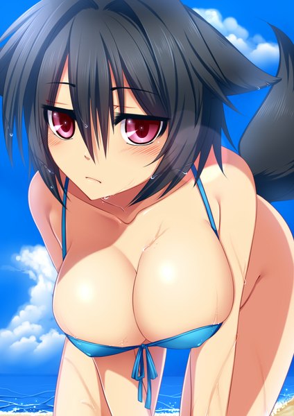 Anime picture 2480x3507 with konshin tall image blush highres breasts light erotic black hair red eyes large breasts animal ears tail cat girl girl swimsuit bikini top
