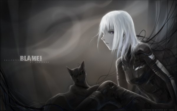 Anime picture 1680x1050 with blame! cibo single long hair looking at viewer fringe wide image sitting purple eyes white hair blunt bangs wallpaper copyright name girl animal cat bodysuit wire (wires)