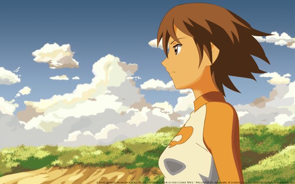 Anime picture 2560x1600 with 5 centimeters per second sumida kanae shinkai makoto single fringe highres short hair breasts brown hair wide image brown eyes looking away sky cloud (clouds) profile girl plant (plants) grass