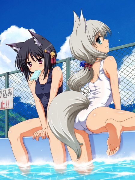 Anime picture 1200x1600 with original shira-nyoro long hair tall image short hair blue eyes light erotic black hair red eyes multiple girls animal ears silver hair animal tail girl 2 girls swimsuit food sweets one-piece swimsuit ice cream