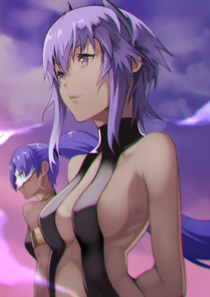 Anime picture 1060x1500 with fate (series) fate/grand order fate/zero fate/prototype hassan of serenity (fate) assassin (fate/zero) female assassin (fate/zero) yoshio (55level) tall image fringe short hair breasts light erotic hair between eyes purple eyes bare shoulders multiple girls looking away sky purple hair