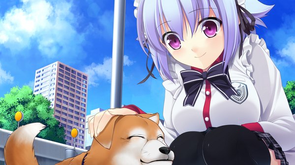 Anime picture 1280x720 with chuning lover eru alfred koso single short hair wide image purple eyes blue hair game cg girl thighhighs uniform black thighhighs school uniform headdress maid headdress dog