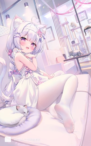 Anime picture 1000x1600 with virtual youtuber indie virtual youtuber asakawa tamano chen bin single long hair tall image looking at viewer blush fringe open mouth light erotic smile sitting purple eyes animal ears payot silver hair ahoge indoors