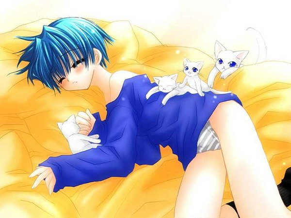 Anime picture 1024x768 with blush short hair light erotic lying long sleeves on side sleeping underwear panties shirt socks pillow black socks cat