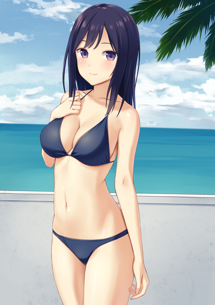 Anime picture 2900x4100 with original n.g. single long hair tall image looking at viewer blush fringe highres breasts light erotic black hair large breasts standing purple eyes sky cleavage cloud (clouds) outdoors light smile