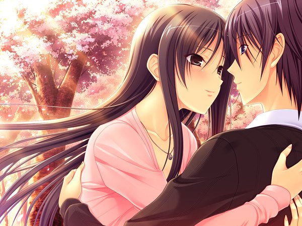 Anime picture 1024x768 with walkure romanze long hair short hair black hair game cg black eyes couple hug cherry blossoms girl boy plant (plants) tree (trees)