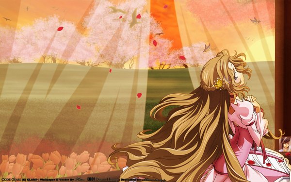 Anime picture 1920x1200 with code geass sunrise (studio) nunnally lamperouge highres wide image