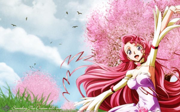 Anime picture 1920x1200 with code geass sunrise (studio) euphemia li britannia highres wide image