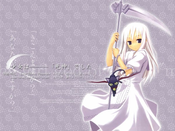 Anime picture 1024x768 with shinigami no ballad momo (shinigami no ballad) single long hair looking at viewer purple eyes white hair inscription girl dress weapon animal white dress scythe