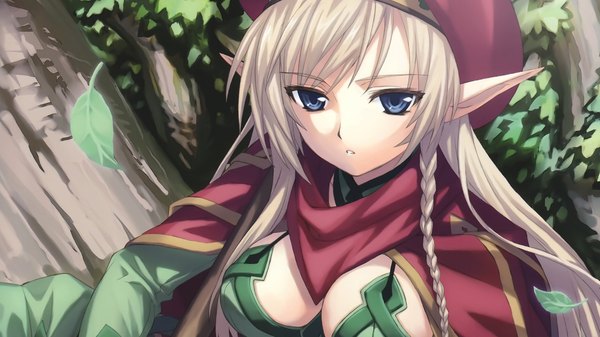 Anime picture 2048x1152 with queen's blade alleyne (queen's blade) highres blue eyes light erotic wide image elf