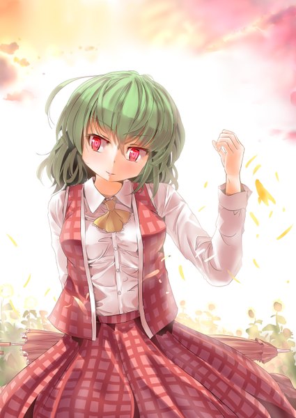 Anime picture 1024x1446 with touhou kazami yuuka culter tall image short hair red eyes green hair closed umbrella girl dress skirt petals umbrella vest skirt set ascot