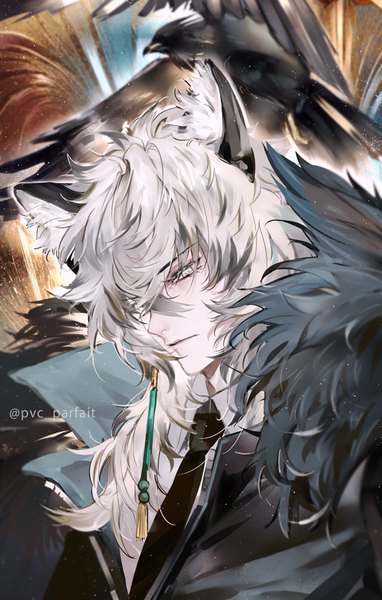 Anime picture 573x900 with arknights silverash (arknights) pvc parfait single long hair tall image looking at viewer fringe hair between eyes signed animal ears silver hair upper body twitter username silver eyes boy animal bird (birds)