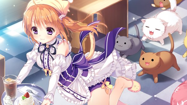 Anime picture 2048x1152 with wan nyan a la mode! nekotama rui single long hair blush highres brown hair wide image twintails purple eyes game cg girl dress detached sleeves animal cat