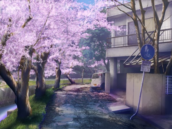 Anime picture 1200x900 with original geshi cherry blossoms no people river plant (plants) tree (trees) grass ground vehicle car house road traffic sign