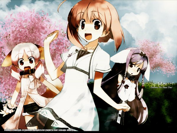 Anime picture 1600x1200 with sakura musubi cuffs (studio) akino momiji kiriyama sakura sera karen long hair short hair open mouth red eyes brown hair multiple girls brown eyes animal ears pink hair purple hair ahoge tail cherry blossoms girl 3 girls