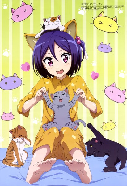 Anime picture 4070x5934 with joukamachi no dandelion production ims sakurada shiori single tall image looking at viewer highres short hair open mouth blue hair absurdres pink eyes bare legs animal on head girl animal cat pajamas