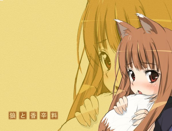 Anime-Bild 1236x939 mit spice and wolf horo blush red eyes brown hair animal ears tail wolf ears wolf tail wolf girl jpeg artifacts girl