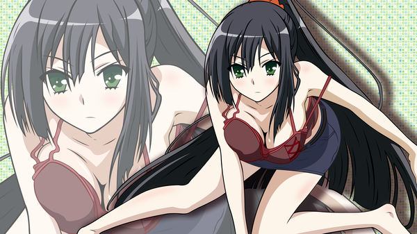Anime picture 3840x2160 with kore wa zombie desu ka? studio deen seraphim (zombie) long hair highres light erotic black hair wide image green eyes absurdres ponytail vector zoom layer girl