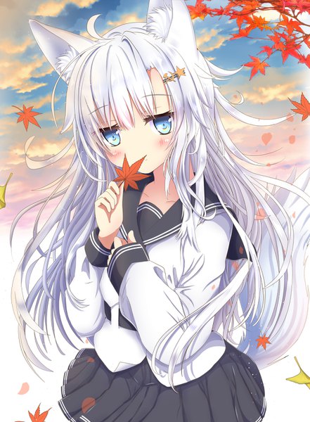 Anime picture 1036x1408 with kantai collection hibiki destroyer verniy destroyer aruka (alka p1) single long hair tall image looking at viewer blush fringe blue eyes hair between eyes animal ears sky silver hair cloud (clouds) ahoge tail animal tail kemonomimi mode