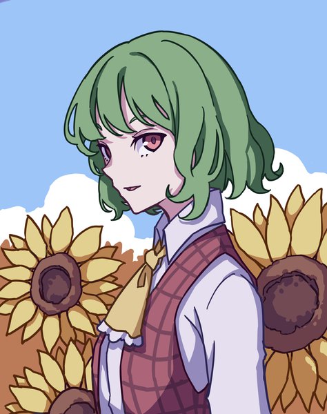 Anime picture 2648x3351 with touhou kazami yuuka kame (kamepan44231) single tall image looking at viewer highres short hair red eyes upper body green hair girl flower (flowers) ascot sunflower