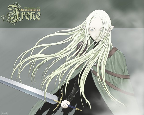 Anime picture 1280x1024 with claymore madhouse irene long hair sword