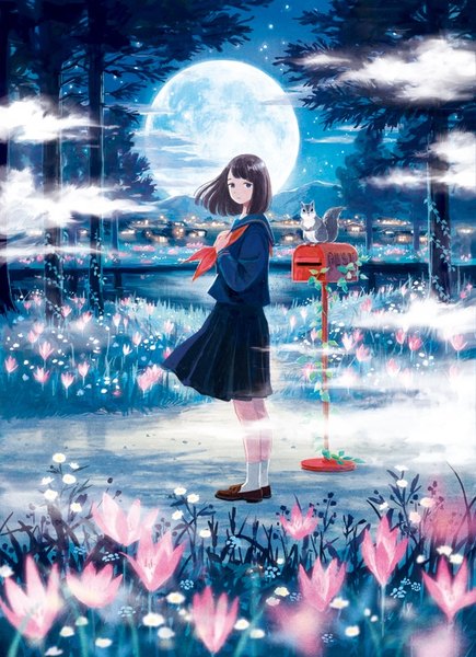 Anime picture 581x800 with original yuuko (nora0x0) single tall image looking at viewer fringe short hair blue eyes brown hair standing full body pleated skirt night night sky turning head scenic city lights nature fog girl