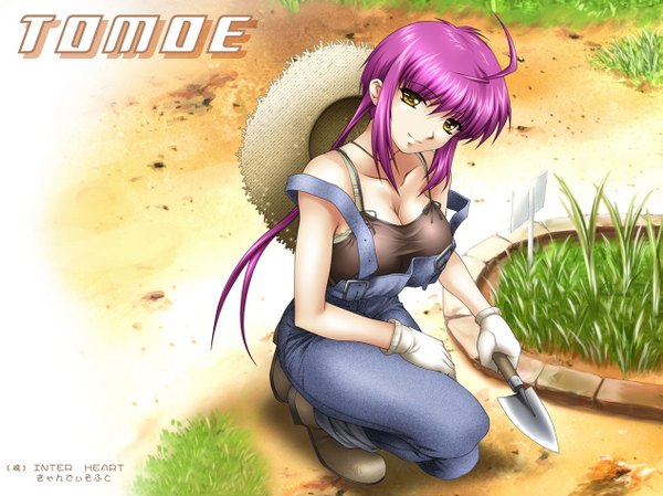 Anime picture 1267x950 with nee, chanto shiyou yo! hiiragi tomoe shironeko sanbou single looking at viewer light erotic smile yellow eyes purple hair full body ahoge outdoors character names squat strap slip girl gloves plant (plants) hat white gloves