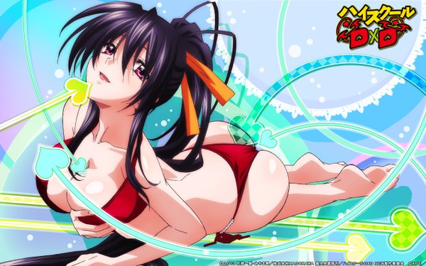 Anime picture 2560x1600 with highschool dxd himejima akeno single looking at viewer highres open mouth light erotic black hair purple eyes cleavage ponytail very long hair girl ribbon (ribbons) swimsuit hair ribbon bikini