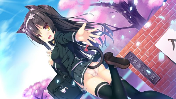 Anime picture 1024x576 with original ochinsama single long hair looking at viewer blush open mouth light erotic black hair wide image animal ears yellow eyes sky cloud (clouds) bent knee (knees) tail animal tail pleated skirt looking back sunlight