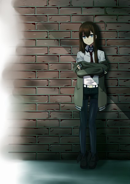 Anime picture 800x1131 with steins;gate white fox makise kurisu bible (pixiv) single long hair tall image looking at viewer blue eyes brown hair standing girl shirt pantyhose necktie shorts