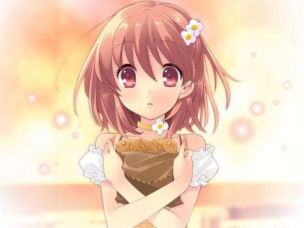 Anime picture 1600x1200 with flyable heart inaba yui itou noiji single looking at viewer blush short hair red eyes brown hair standing game cg upper body indoors parted lips hair flower blurry off shoulder short sleeves puffy sleeves girl