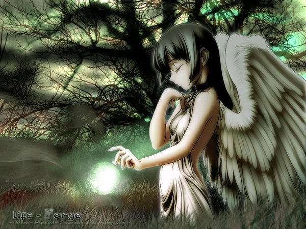 Anime picture 1024x768 with tomomimi shimon wings tagme angelphobia