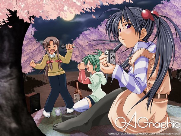 Anime picture 1024x768 with gagraphic yoshihara maito long hair blush short hair open mouth black hair brown hair standing sitting purple eyes multiple girls signed looking away green hair night no shoes copyright name cherry blossoms knees together feet apart