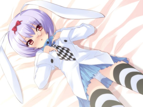 Anime picture 1600x1200 with alice parade silk (alice parade) itou noiji looking at viewer short hair light erotic red eyes animal ears game cg purple hair lying pleated skirt on back bunny ears girl thighhighs skirt underwear panties white shirt