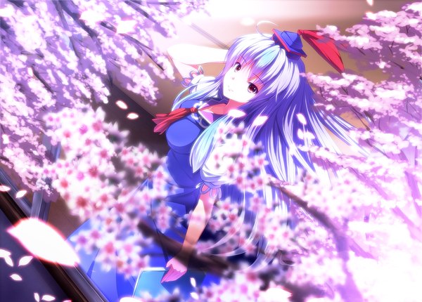 Anime picture 1500x1076 with touhou kamishirasawa keine ryosios single long hair red eyes blue hair cherry blossoms looking up girl petals branch tokin hat