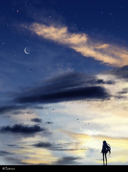 Anime picture 1045x1400 with original sanaa single long hair tall image signed sky cloud (clouds) full body ahoge from behind sunlight night night sky outstretched arm back evening sunset scenic silhouette