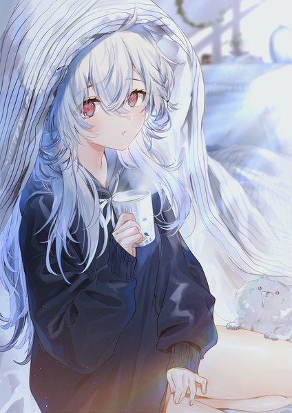Anime picture 1448x2048 with original harui (hr x9 ) single long hair tall image looking at viewer blush fringe hair between eyes red eyes sitting holding silver hair long sleeves parted lips sunlight sleeves past wrists under covers girl animal