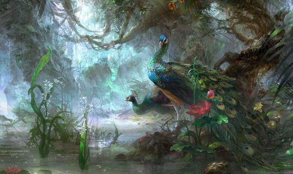 Anime picture 1526x907 with hgjart wide image landscape flower (flowers) plant (plants) animal tree (trees) bird (birds) grass forest peacock