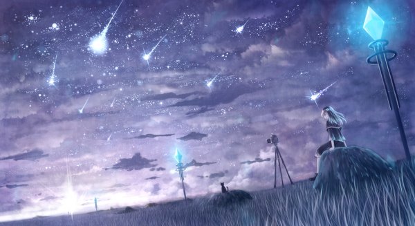 Anime picture 1760x960 with original bounin long hair highres wide image sitting sky from behind night night sky back light shooting star girl plant (plants) animal star (stars) cat grass crystal
