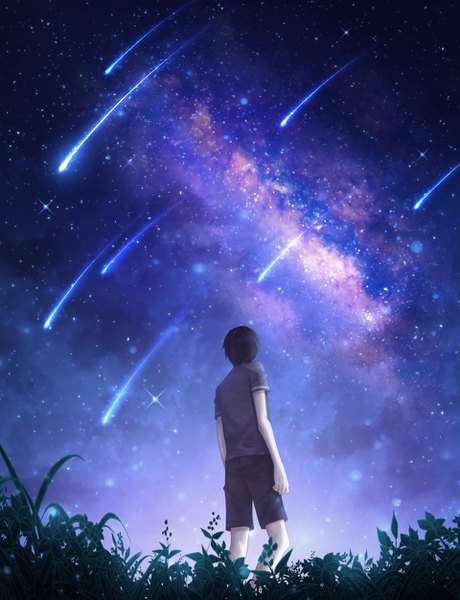 Anime picture 960x1250 with original czy single tall image short hair black hair standing full body bent knee (knees) outdoors from behind night from below night sky shooting star milky way meteor rain boy plant (plants) shorts